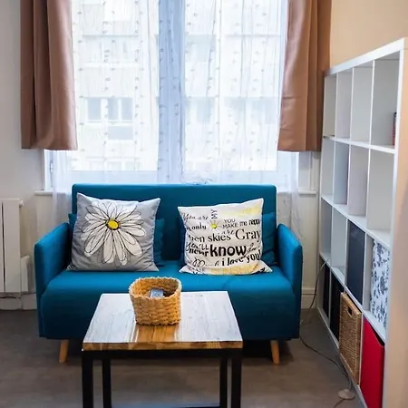 Apartament T1bis Wifi 25m2 Lumineux Elegant, Centre *