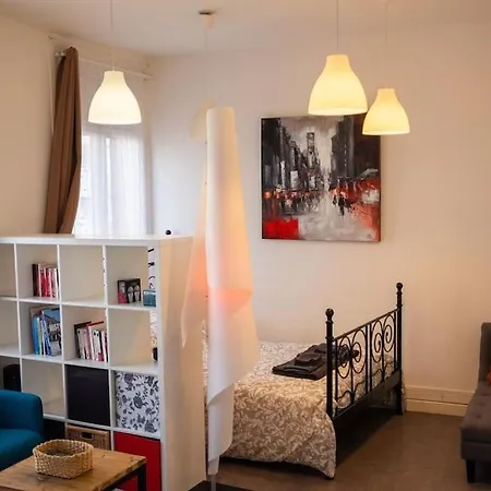 T1bis Wifi 25m2 Lumineux Elegant, Centre * Roubaix